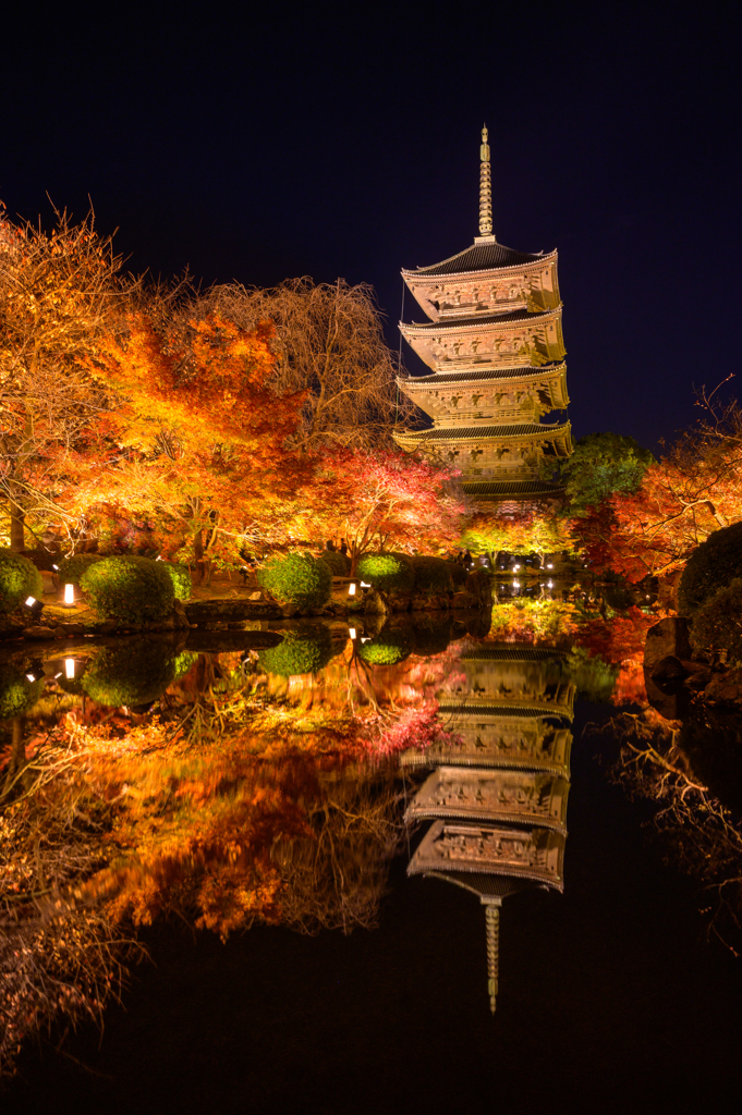 東寺の秋