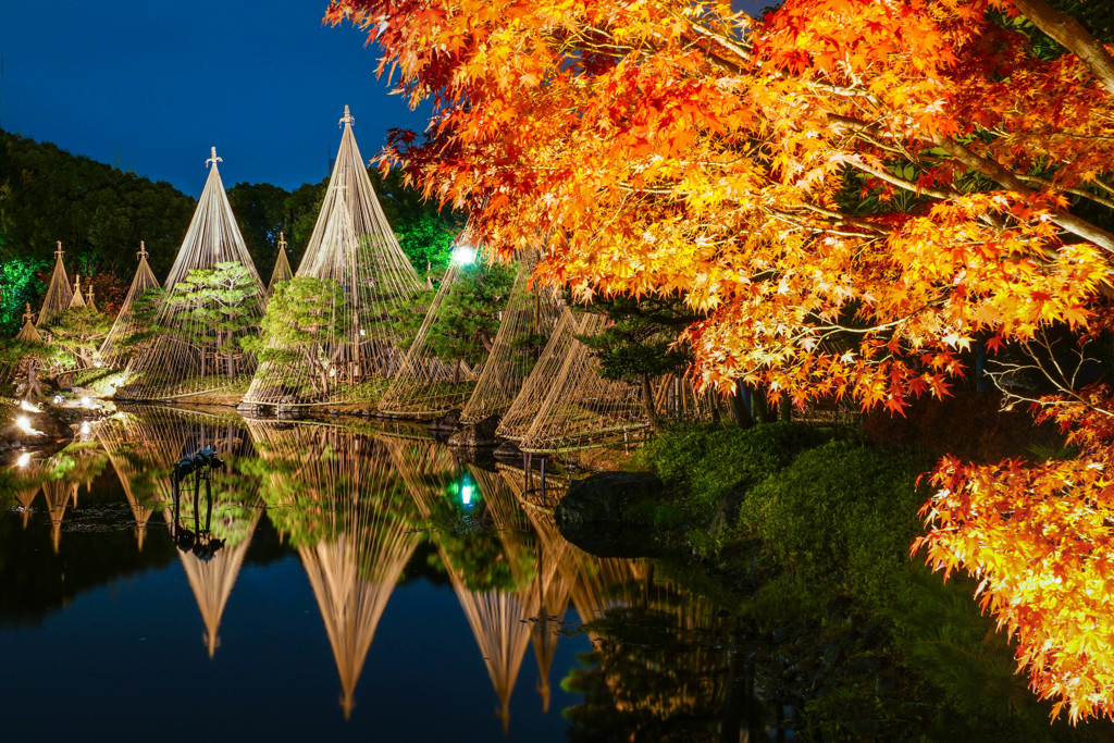 晩秋の庭園