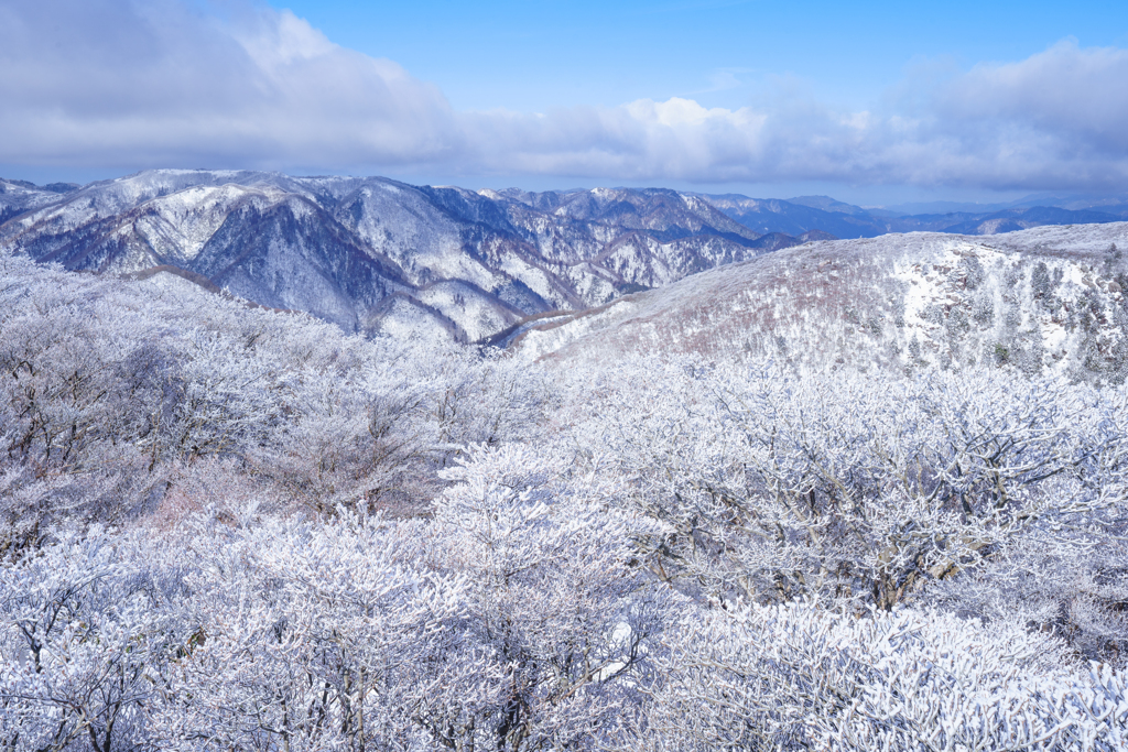 雪景色を望む