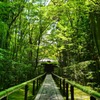 緑の道