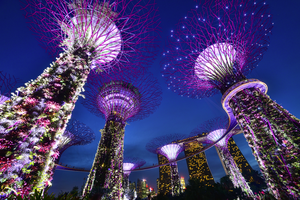 Night View Of Singapore②