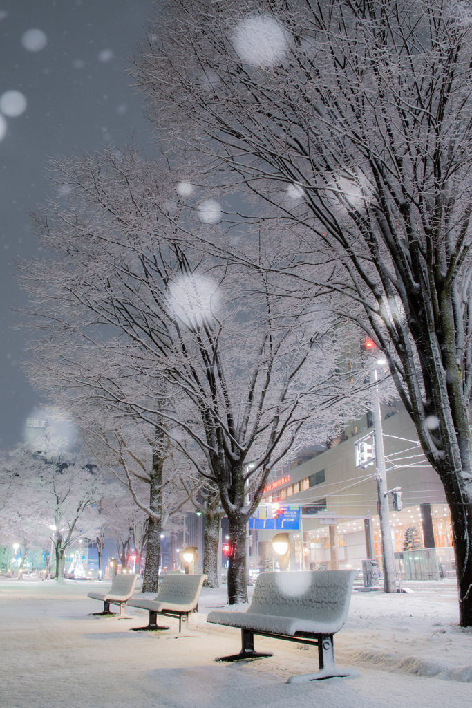雪舞う街角
