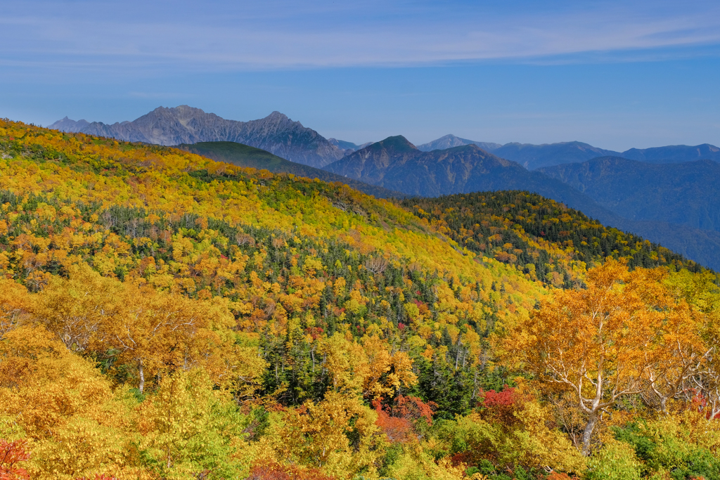 山岳黄葉