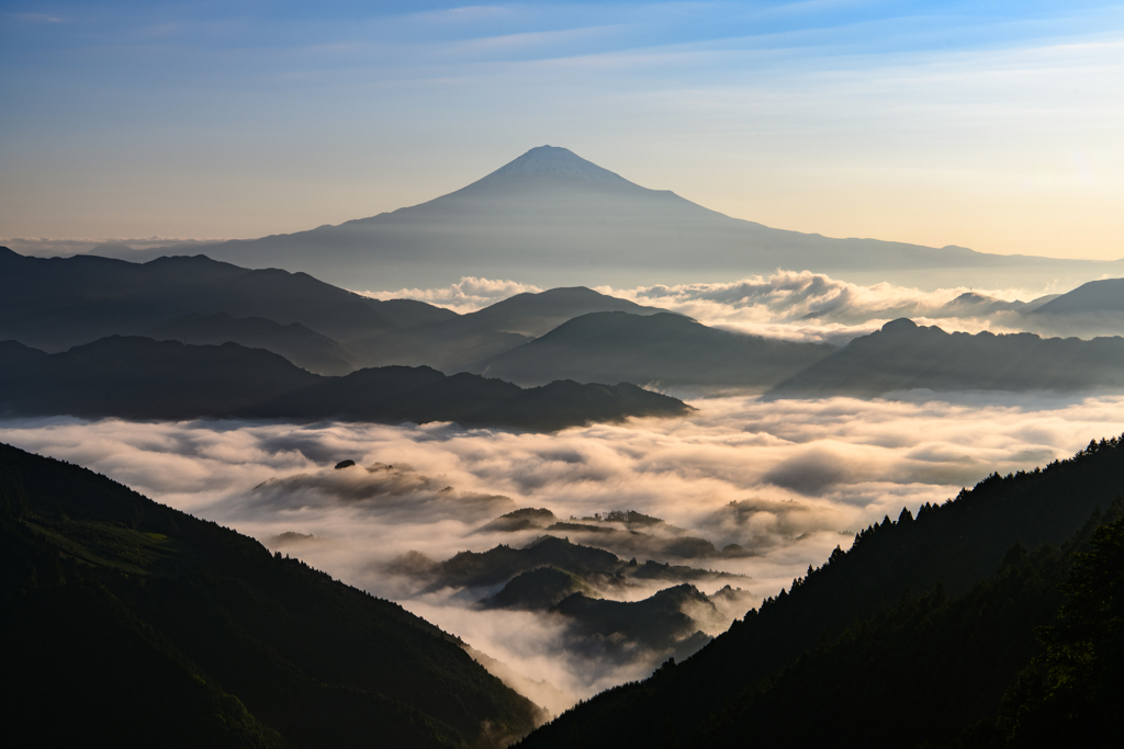 富士の高嶺Ⅱ