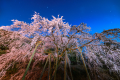 悠久の時を経て