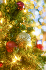 メリークリスマス♪