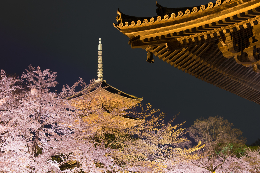 東寺花景色