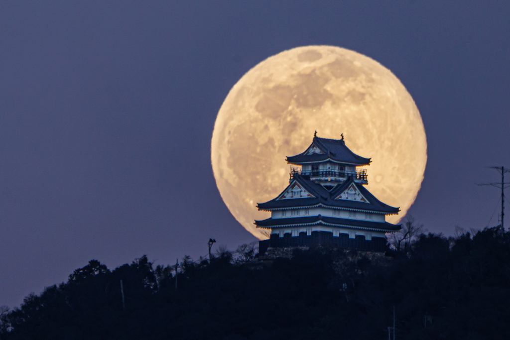 岐阜城と月