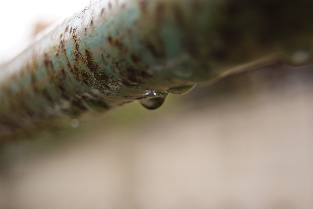 雨上がりの鉄棒