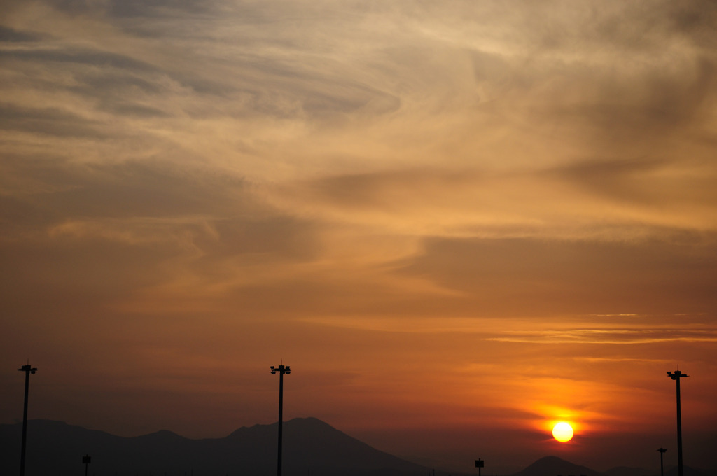 夕暮れ時は寂しそう？