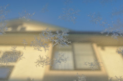 雪の華