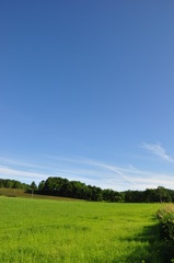 夏だぁ〜