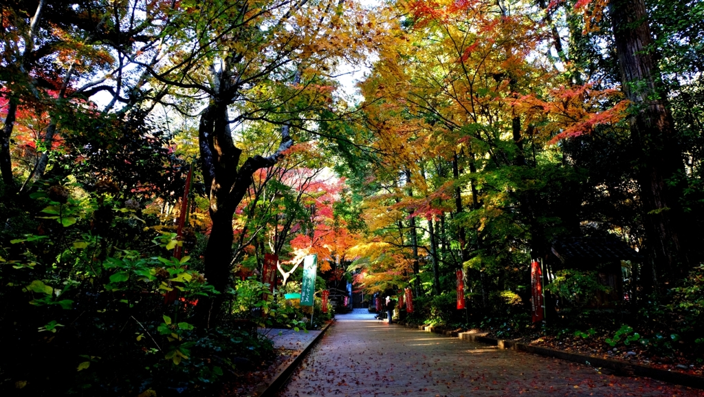 油山寺の紅葉（2014/11/29）