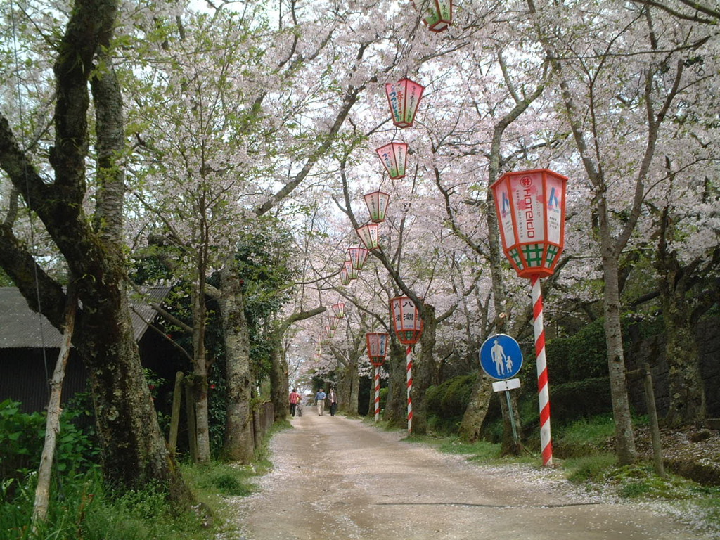 鳥取県倉吉市の桜祭り By 道化 Id 写真共有サイト Photohito