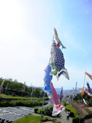 太陽に向かって