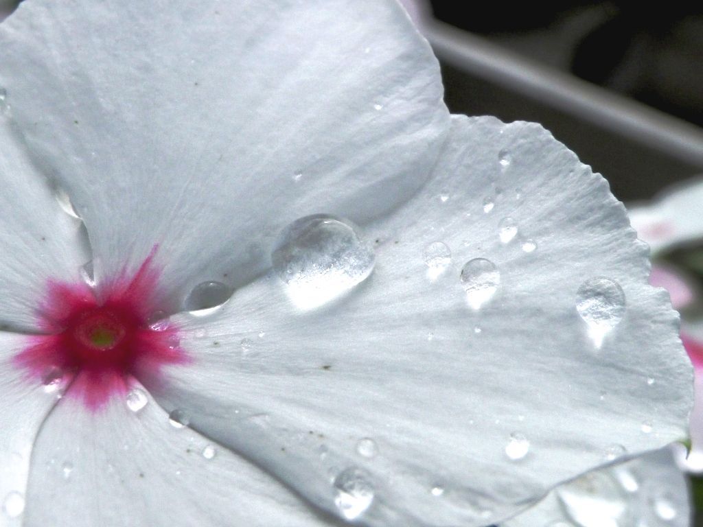 梅雨晴れの水晶