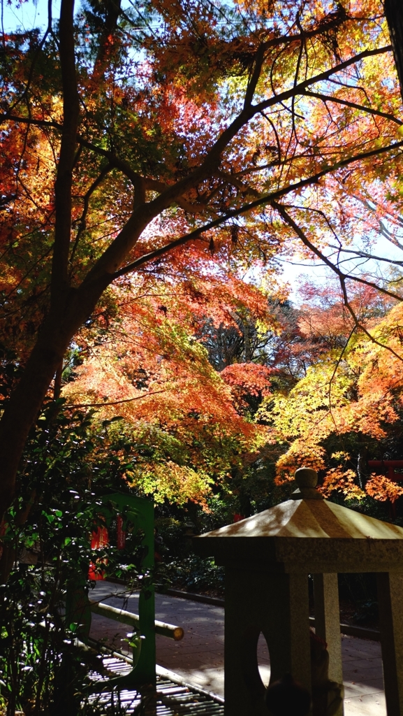 油山寺の紅葉（2014.12.06）