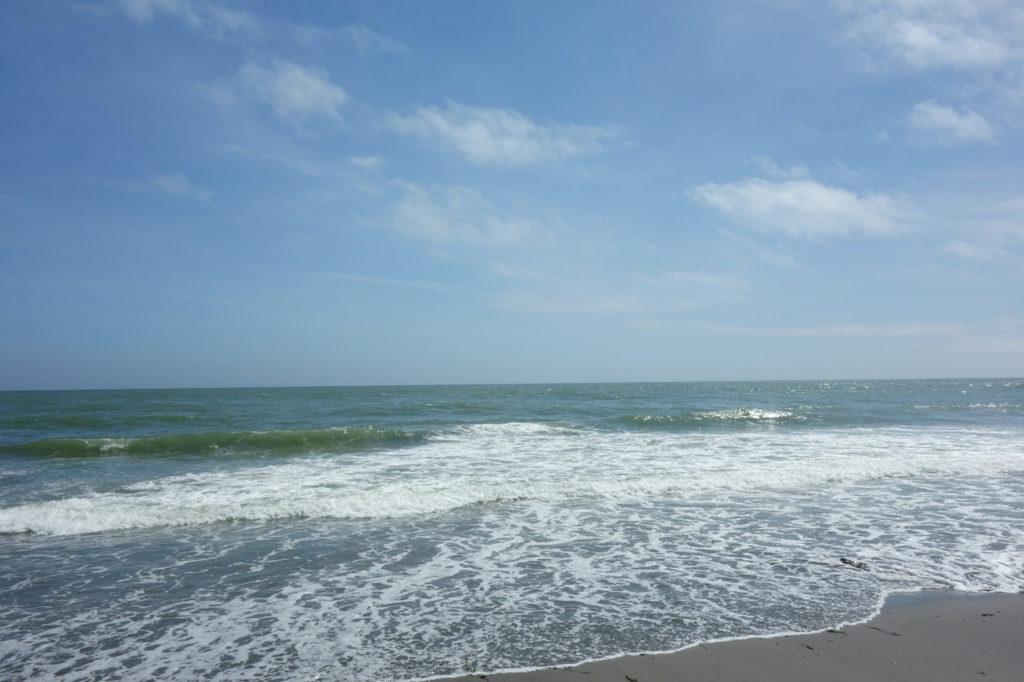米津の浜