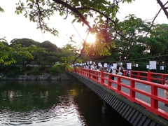 小田原ちょうちん夏祭り