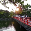 小田原ちょうちん夏祭り