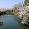 2015 岡崎城 堀と桜