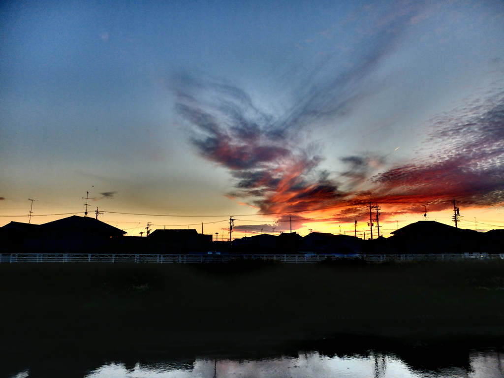 一日の終わりの朱・・・鳥のような夕焼け