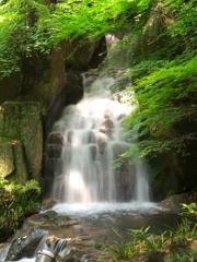 愛知　徳川園の滝