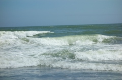 米津の浜～波～