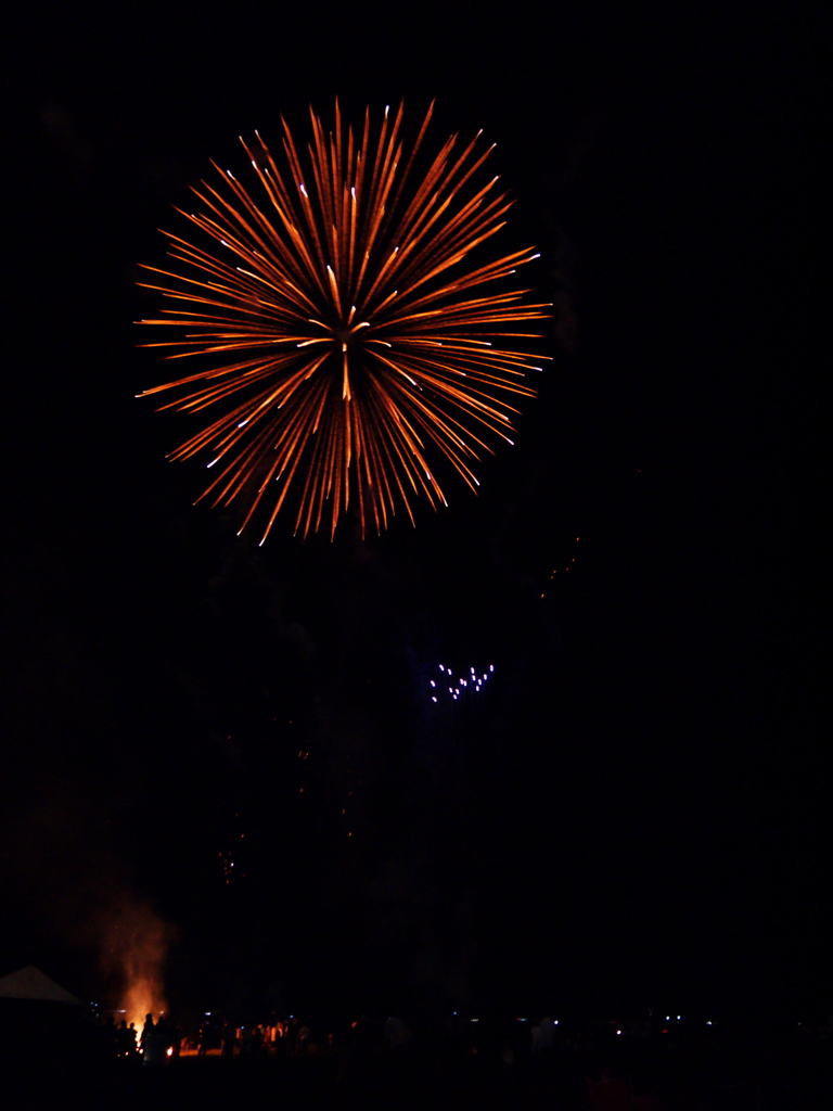 浜北 飛竜祭りの花火