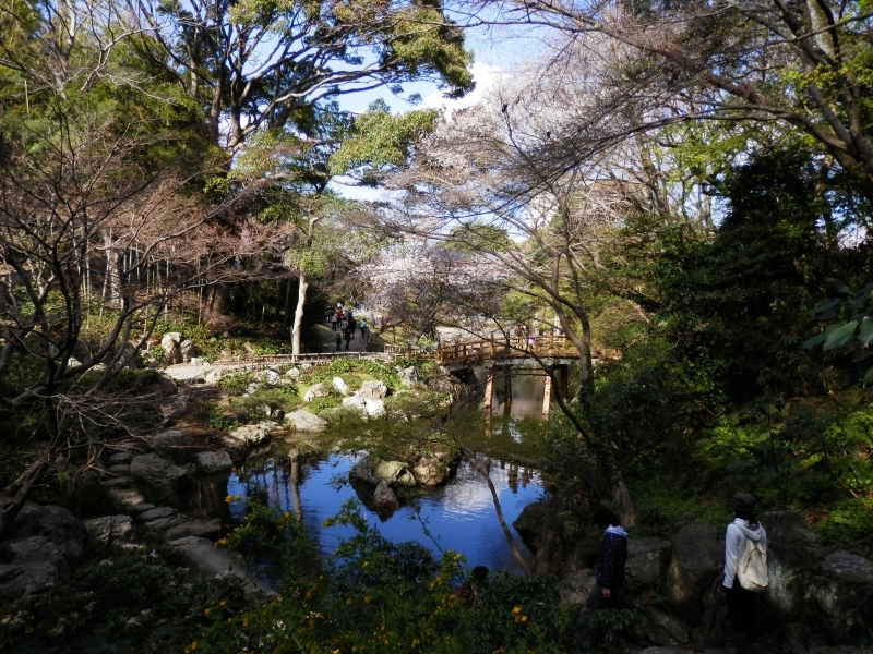 浜松城公園の日本庭園