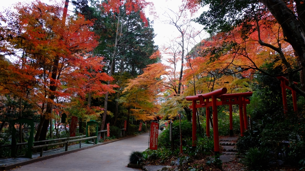 2015 油山寺の紅葉3