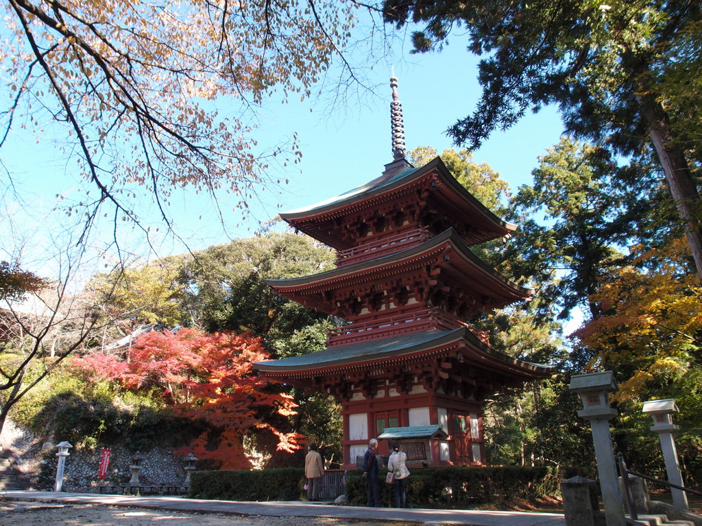 静岡県袋井市油山寺の紅葉 2 By 道化 Id 写真共有サイト Photohito