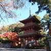 静岡県袋井市油山寺の紅葉　2