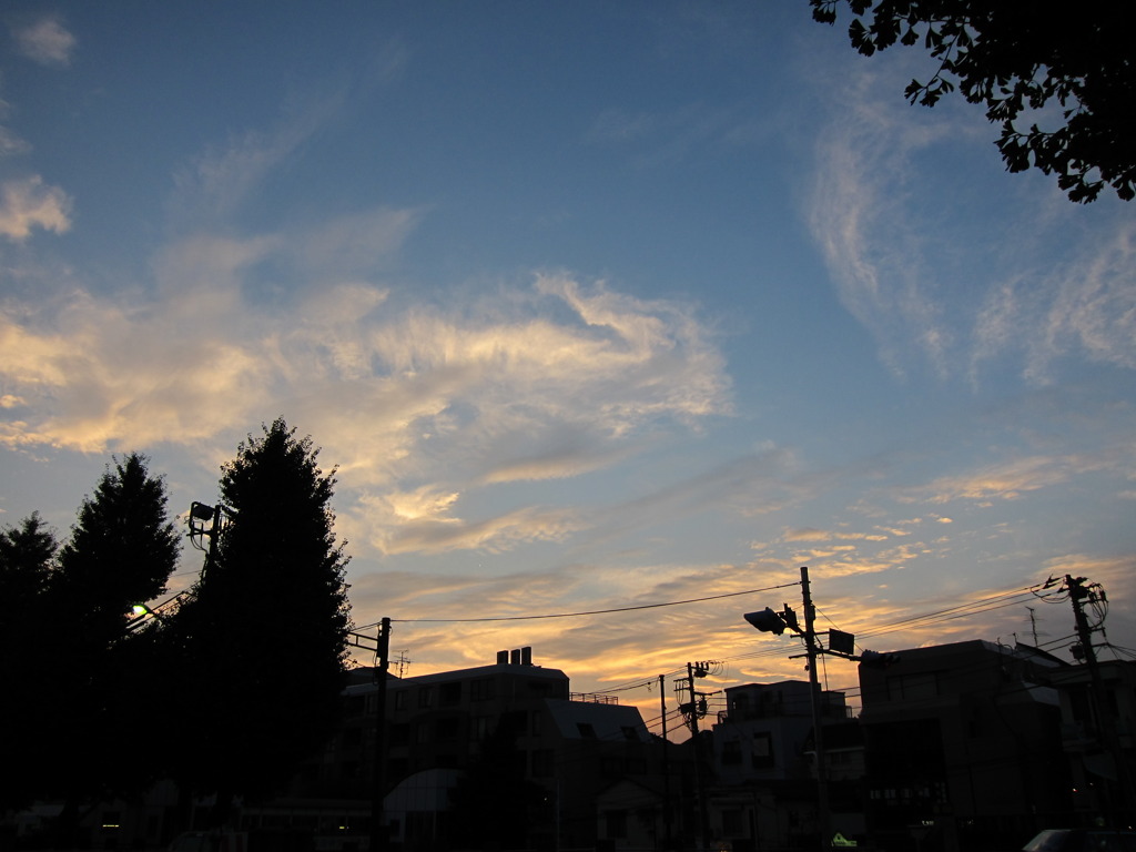 都内の夕景
