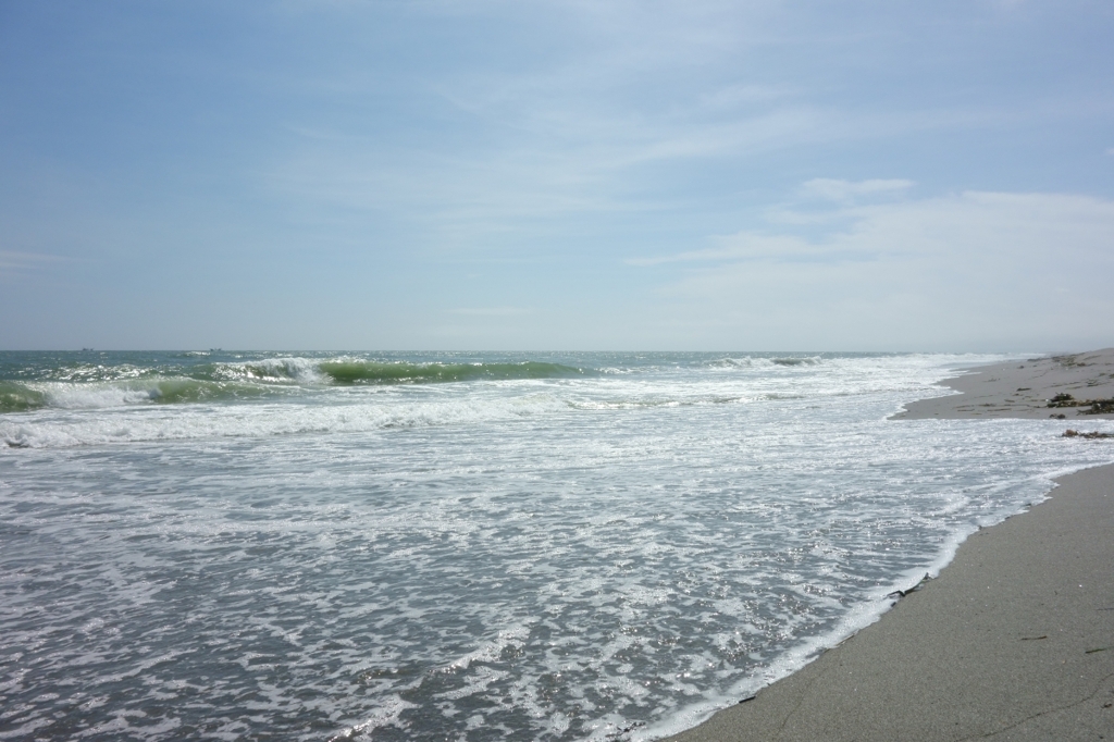 米津の浜