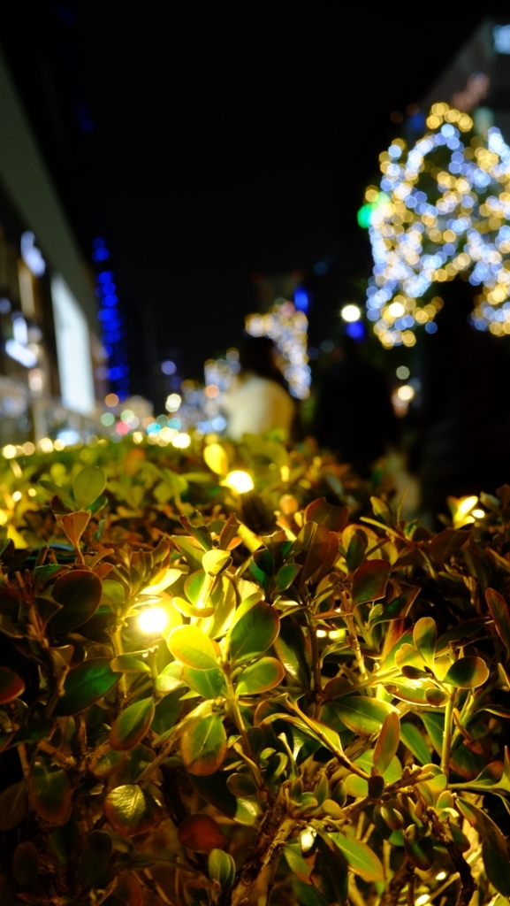 夜のの名駅前 3