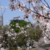 2015 春の岡崎城