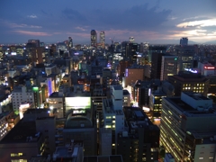 テレビ塔からの夕景