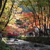 遠州森町小国神社のもみじ祭り　1