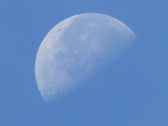 朝の月