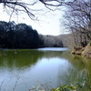 神奈川県秦野市震生湖