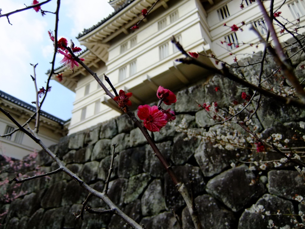 小田原城にて