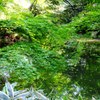 水鏡