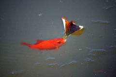 111＿ホントの温度