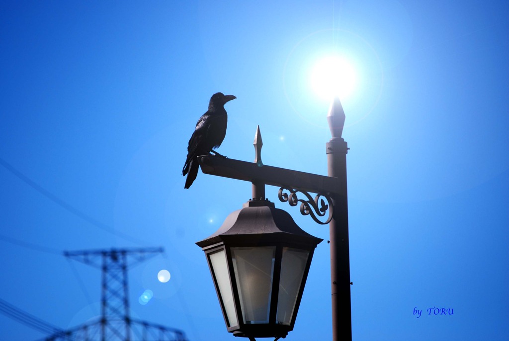 085_時空のクロウ