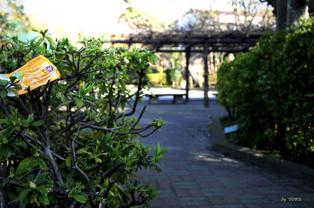 314_公園