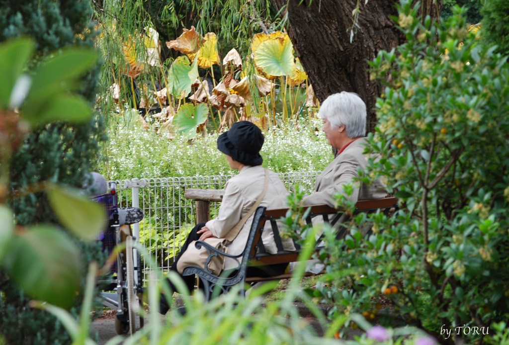 004＿いつまでも