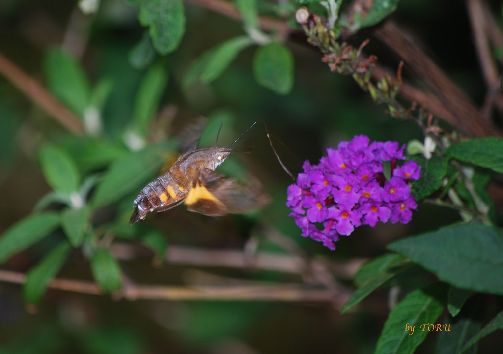 036＿アプローチ