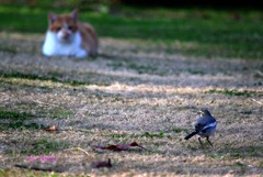 063_キミとボクの関係