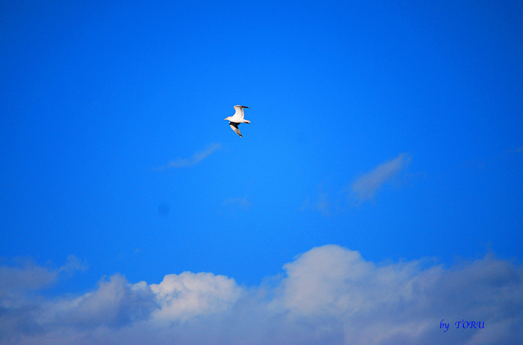 277_SKY